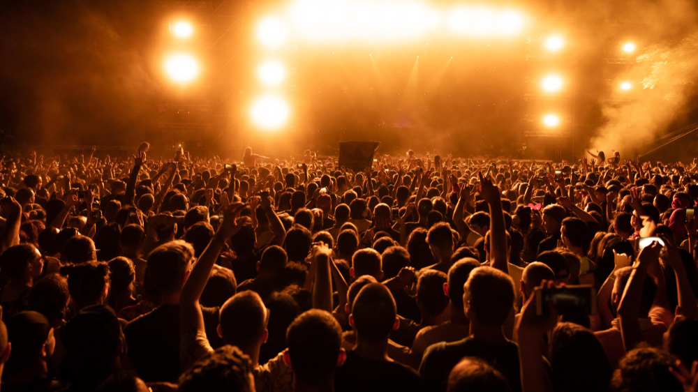 Crowd cheering in a live concert